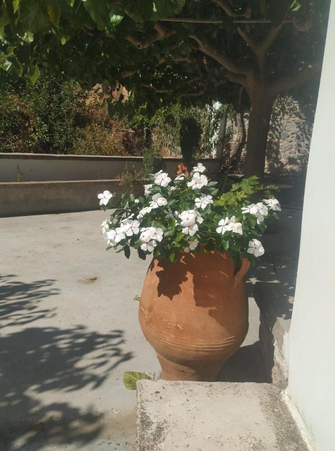 Karidi Xenios Z Rustic Rural Cottage מראה חיצוני תמונה