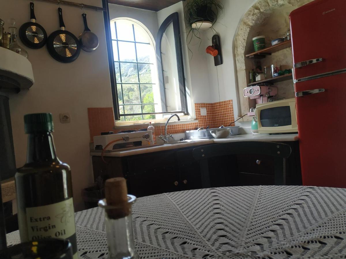 Karidi Xenios Z Rustic Rural Cottage מראה חיצוני תמונה