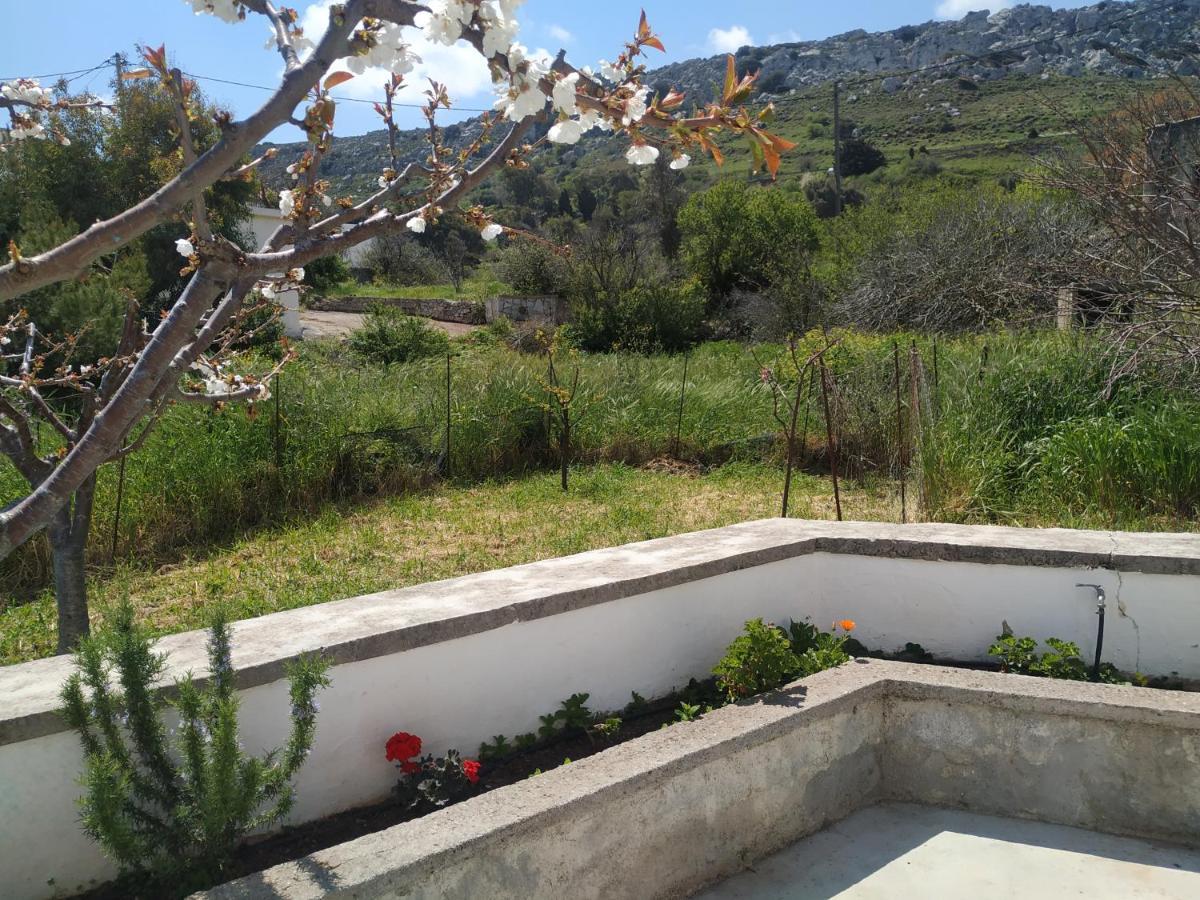 Karidi Xenios Z Rustic Rural Cottage מראה חיצוני תמונה